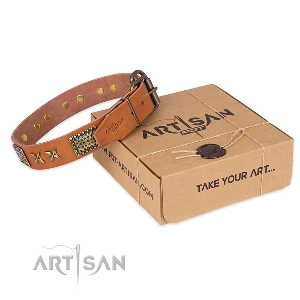 Rust-proof buckle on full grain genuine leather collar for your stylish four-legged friend