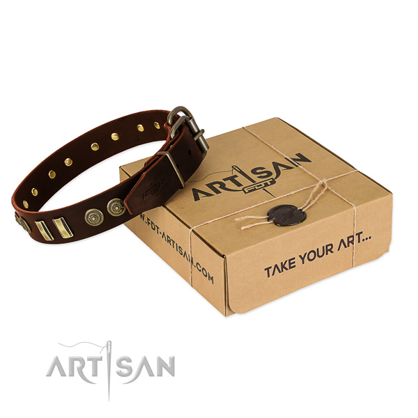 Rust-proof traditional buckle on natural leather dog collar for your pet