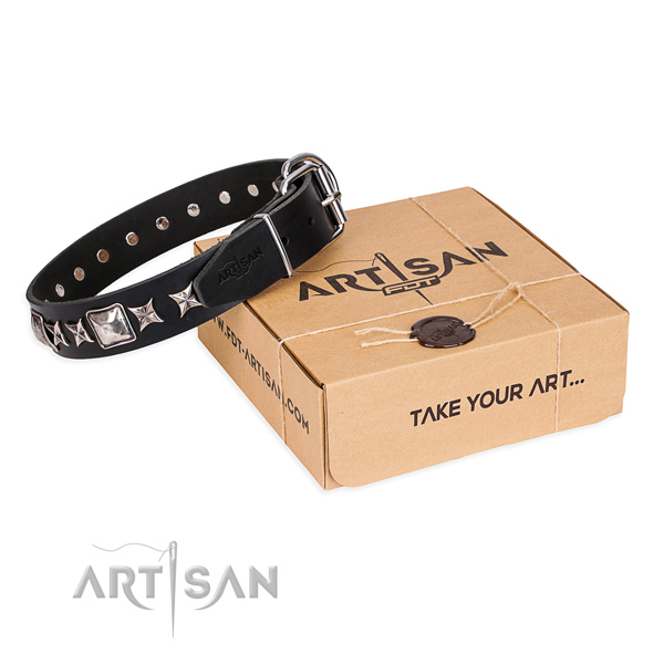 Fancy walking dog collar of strong leather with decorations