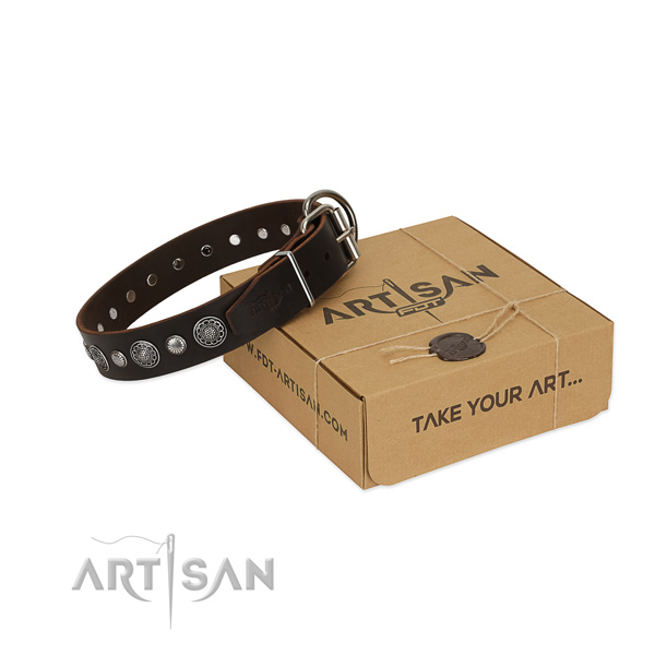 Reliable leather dog collar with awesome decorations