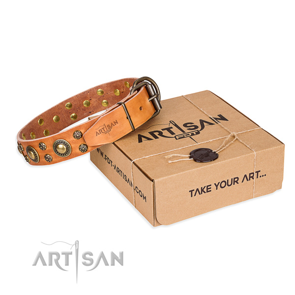 Daily walking dog collar of durable genuine leather with embellishments