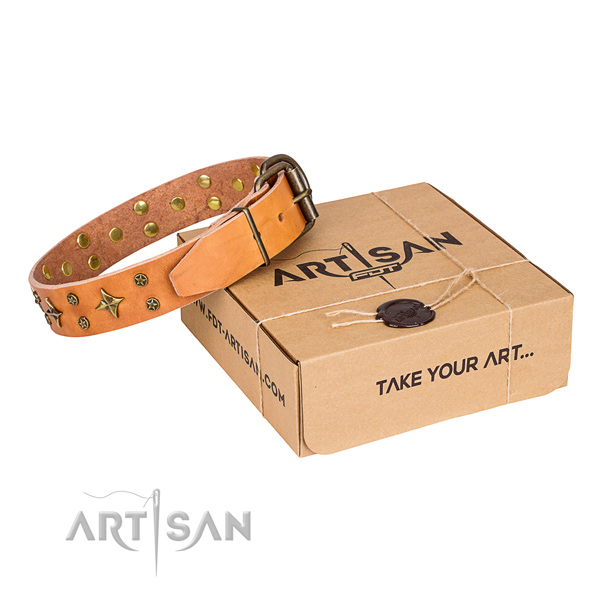 Daily use dog collar of strong full grain leather with adornments