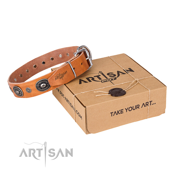 Flexible full grain leather dog collar crafted for stylish walking