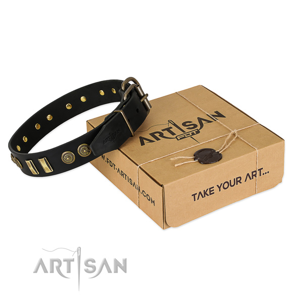 Rust-proof buckle on genuine leather dog collar for your four-legged friend