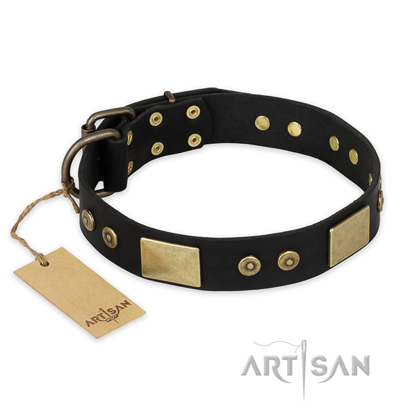 Stylish full grain natural leather dog collar for walking