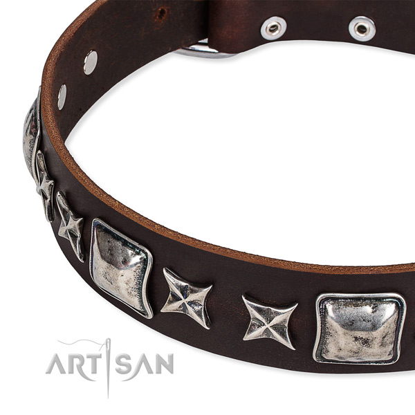 Stylish walking decorated dog collar of quality full grain leather