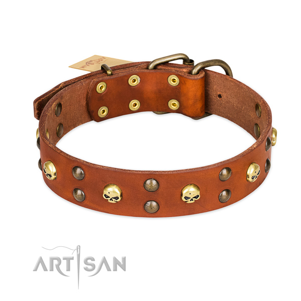 Comfortable wearing dog collar of top notch full grain leather with decorations