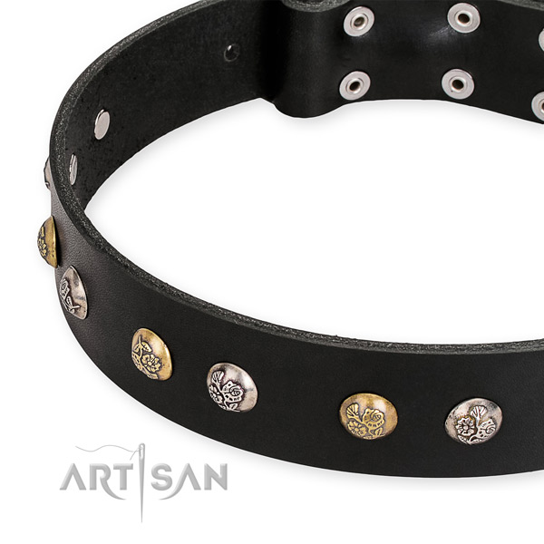 Genuine leather dog collar with stunning durable adornments