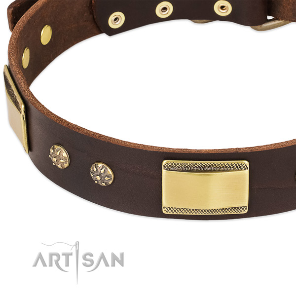 Reliable D-ring on genuine leather dog collar for your pet