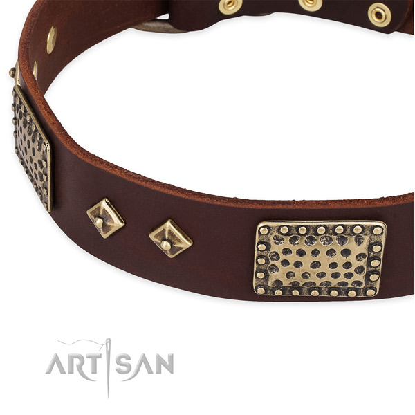 Corrosion proof decorations on genuine leather dog collar for your four-legged friend