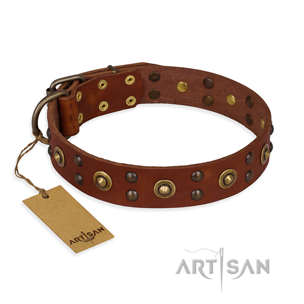 Designer leather dog collar with rust-proof D-ring