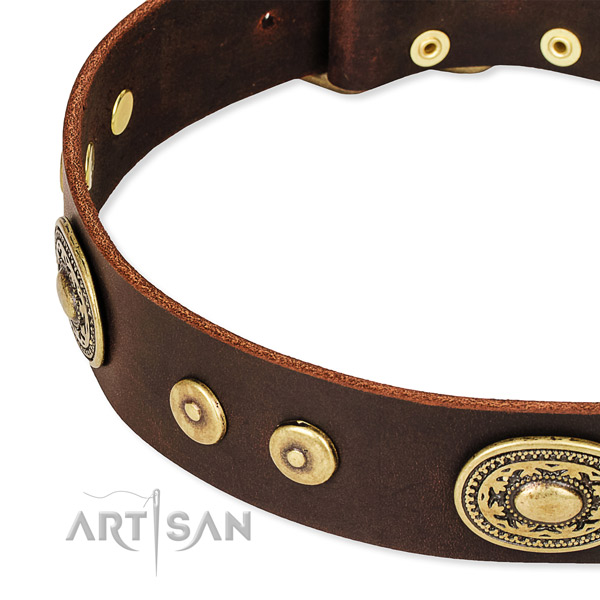 Studded dog collar made of gentle to touch leather