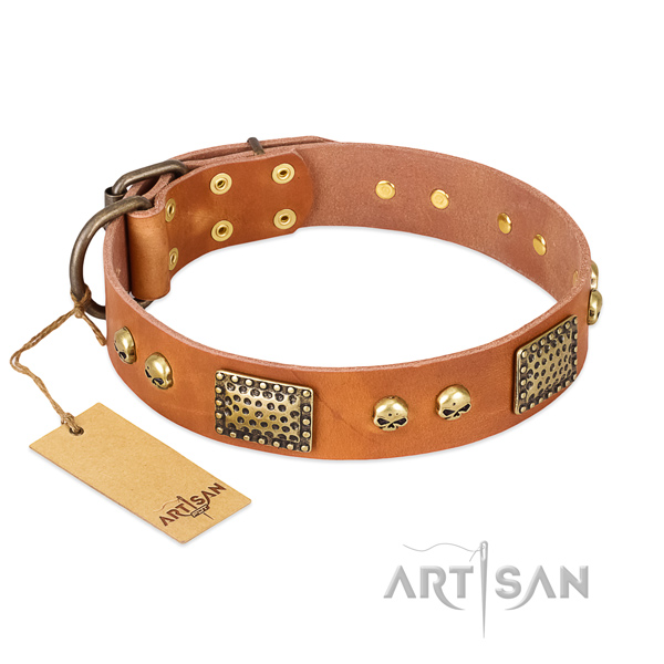 Easy adjustable leather dog collar for everyday walking your doggie