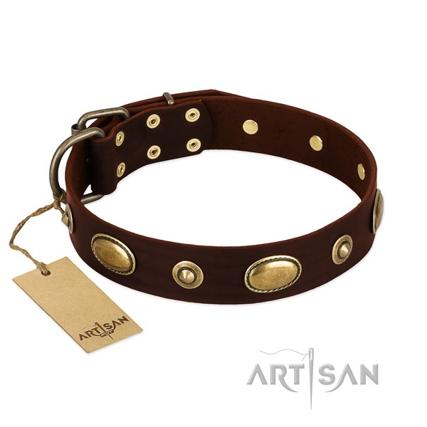 Exquisite full grain leather collar for your dog