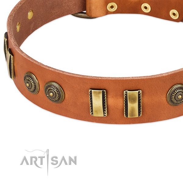 Rust resistant fittings on full grain genuine leather dog collar for your canine