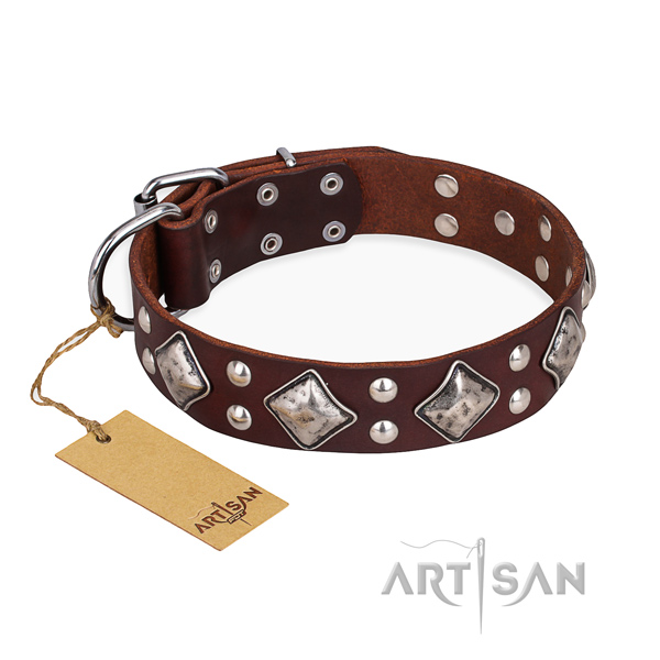 Everyday walking extraordinary dog collar with rust-proof D-ring