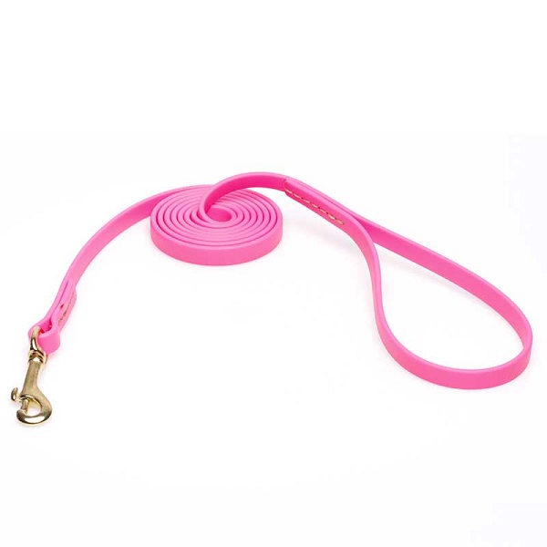 Biothane Dog Leash for Walking