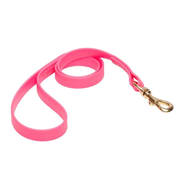 Biothane Dog Leash for Walking