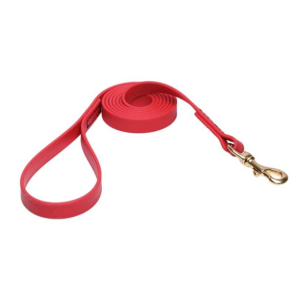 Biothane Dog Leash for Walking