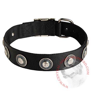 Central Asian Shepherd Dog Nylon Collar Awesome Design