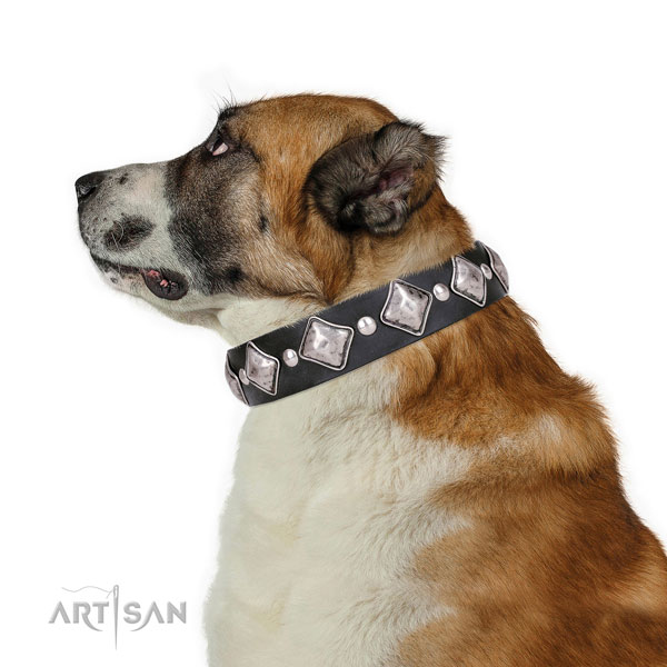 Basic training decorated dog collar of strong leather