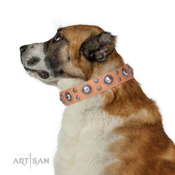 Easy wearing decorated dog collar of best quality leather