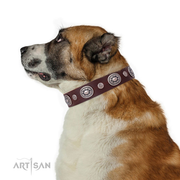 Durable buckle and D-ring on full grain leather dog collar for everyday use