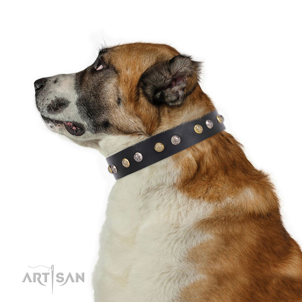 Natural leather dog collar with strong buckle and D-ring for daily use