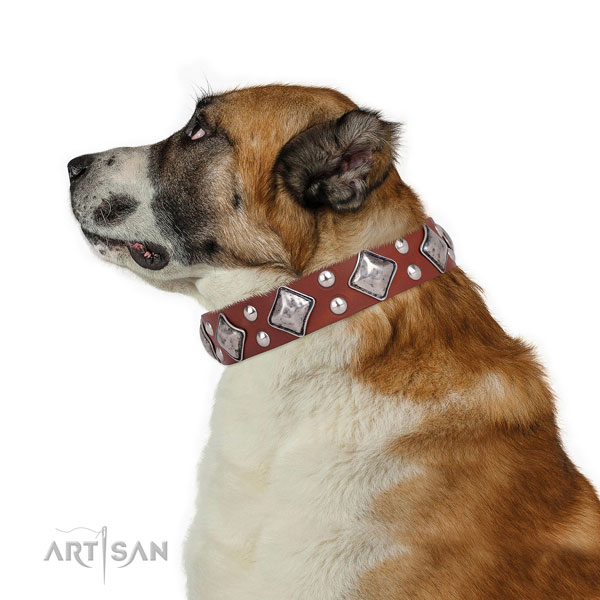 Basic training embellished dog collar made of best quality genuine leather