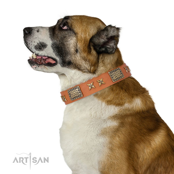 Basic training dog collar with significant decorations