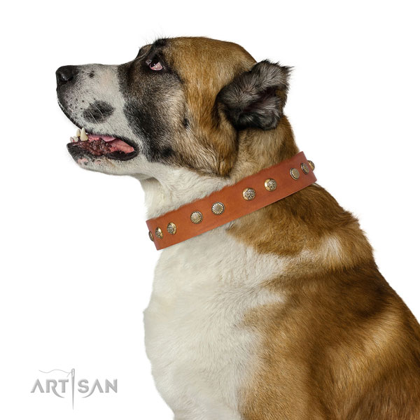 Unusual decorations on comfortable wearing genuine leather dog collar