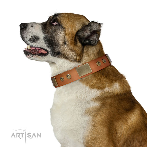 Durable everyday use dog collar of natural leather