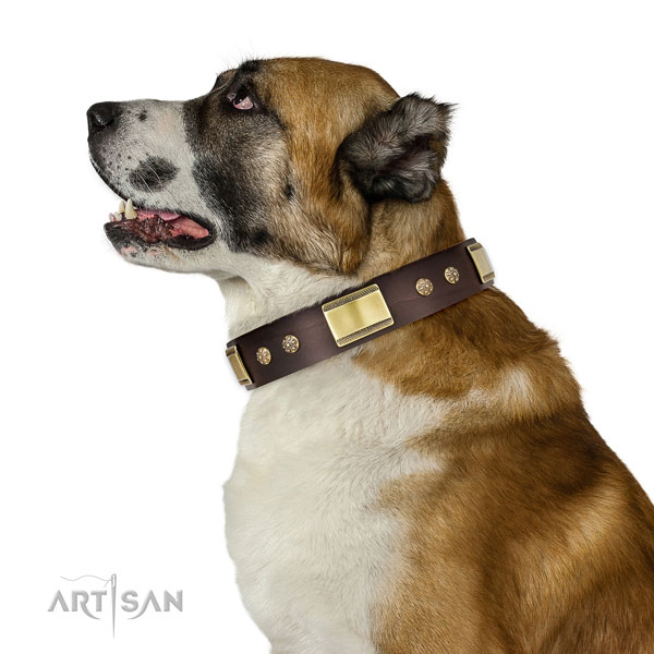 Handy use dog collar of leather with exquisite studs