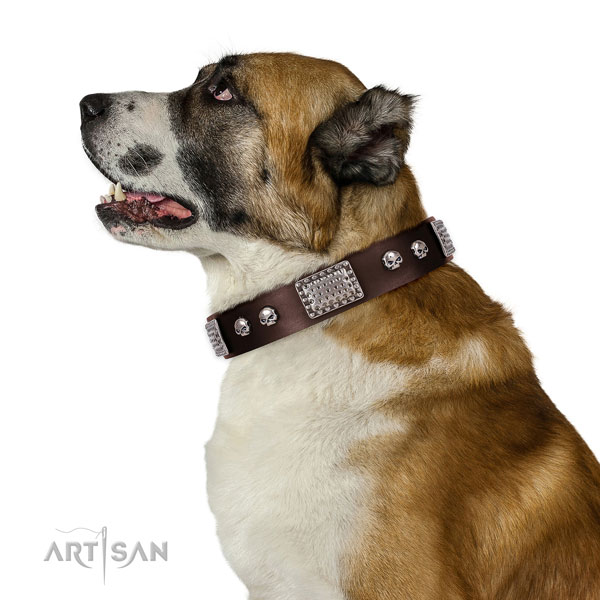 Best quality full grain genuine leather collar for your impressive doggie