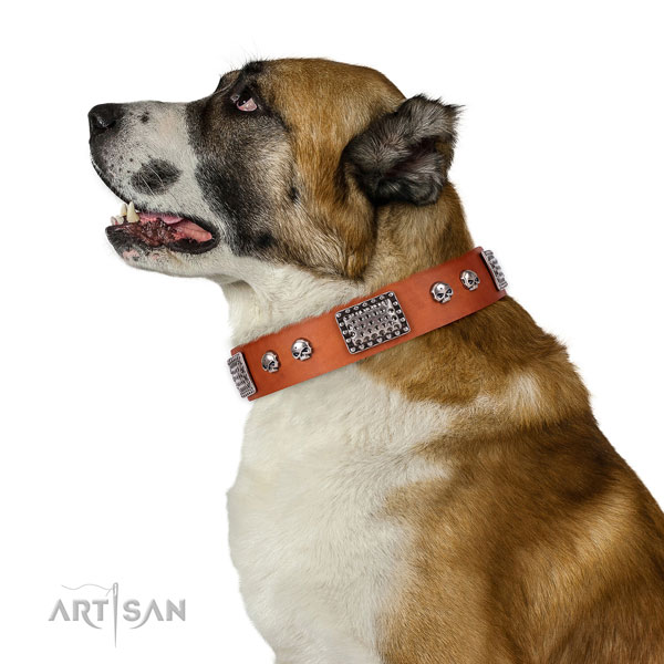 Designer natural genuine leather collar for your lovely doggie