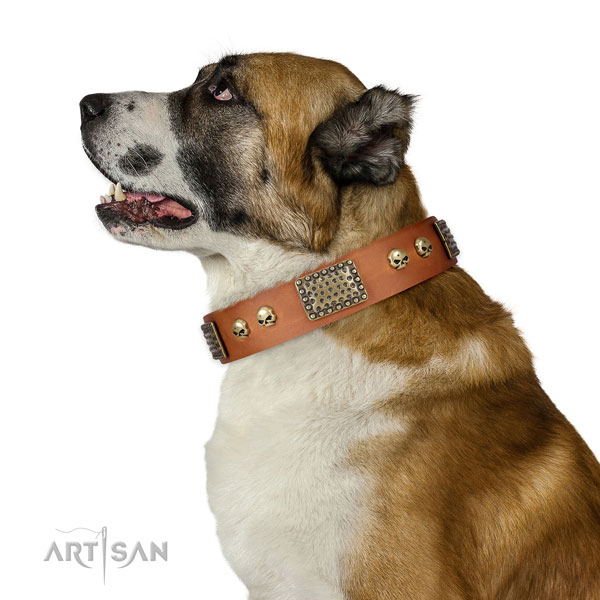 Corrosion resistant traditional buckle on leather dog collar for daily use