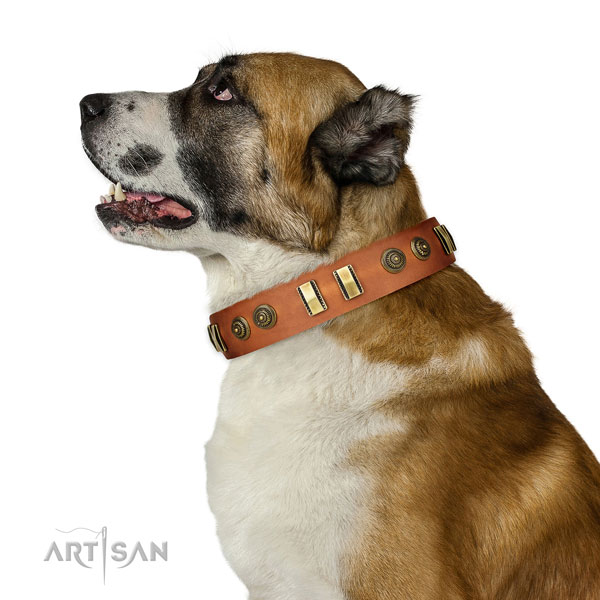 Strong buckle on natural leather dog collar for handy use