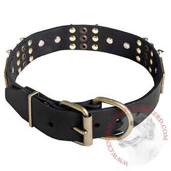 Studded Leather Central Asian Shepherd Collar for Walking