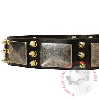 Stylish Leather Dog Collar for Central Asian Shepherd