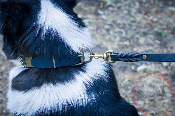 Central Asian Shepherd black leather collar with durable brass plated fittings for quality control