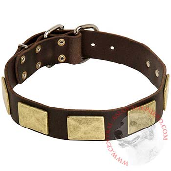 Leather Central Asian Shepherd Collar with Fashionable Studs