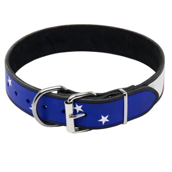 Central Asian Shepherd Leather Collar With American  Flag Painting