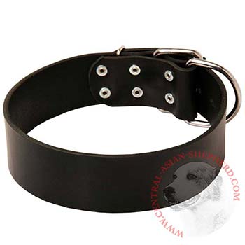 Leather Central Asian Shepherd Collar for Control During Walking