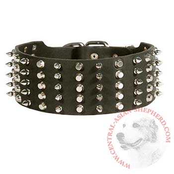 Central Asian Shepherd Spiked Studded  Leather Collar