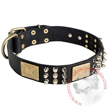 Stylish Wide Leather Dog Collar for Central Asian Shepherd Walking