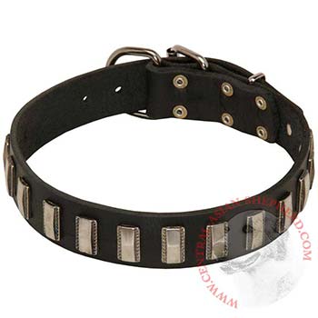 Walking Leather Dog Collar for Central Asian Shepherd