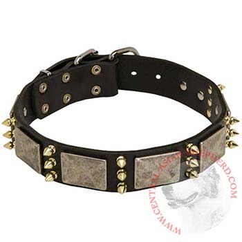 Vintage Leather Collar for Central Asian Shepherd