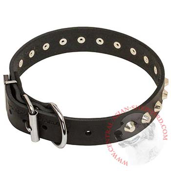 Training Walking Leather Dog Collar with Buckle for Central Asian Shepherd