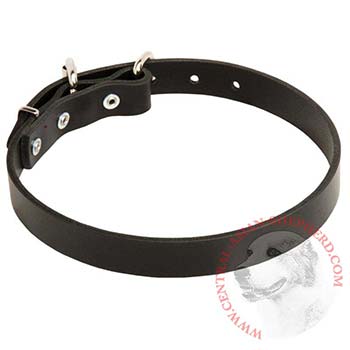 Leather Dog Collar for Central Asian Shepherd Training