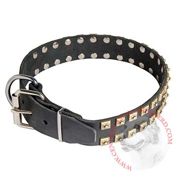 Leather Central Asian Shepherd Collar with Solid Rivets